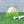 Load image into Gallery viewer, Taste of the Tournament Patron