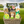Load image into Gallery viewer, Taste of the Tournament Grande