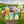 Load image into Gallery viewer, Taste of the Tournament Supreme