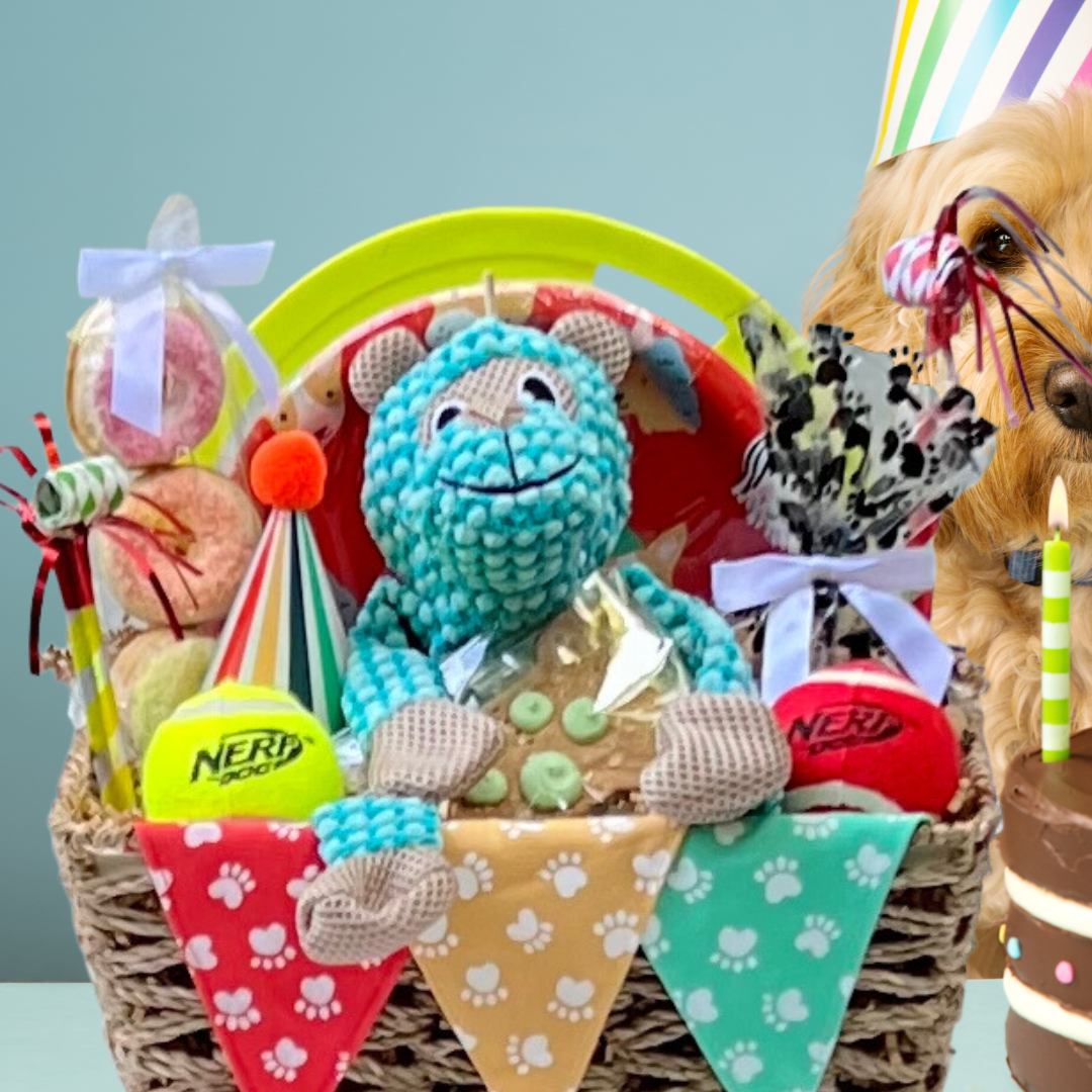 Bow WOW! Birthday Augusta Gift Baskets