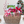 Load image into Gallery viewer, Holiday Treats
